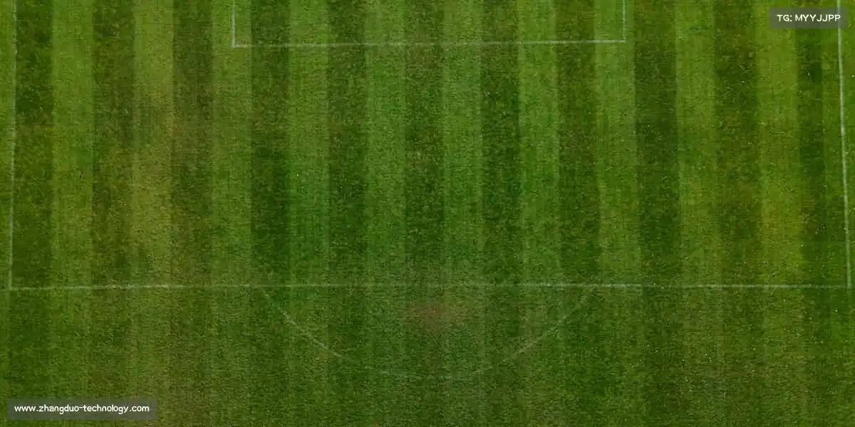 壹号娱乐🏋️♀️汗水滴落的地方,必有成长的光芒!